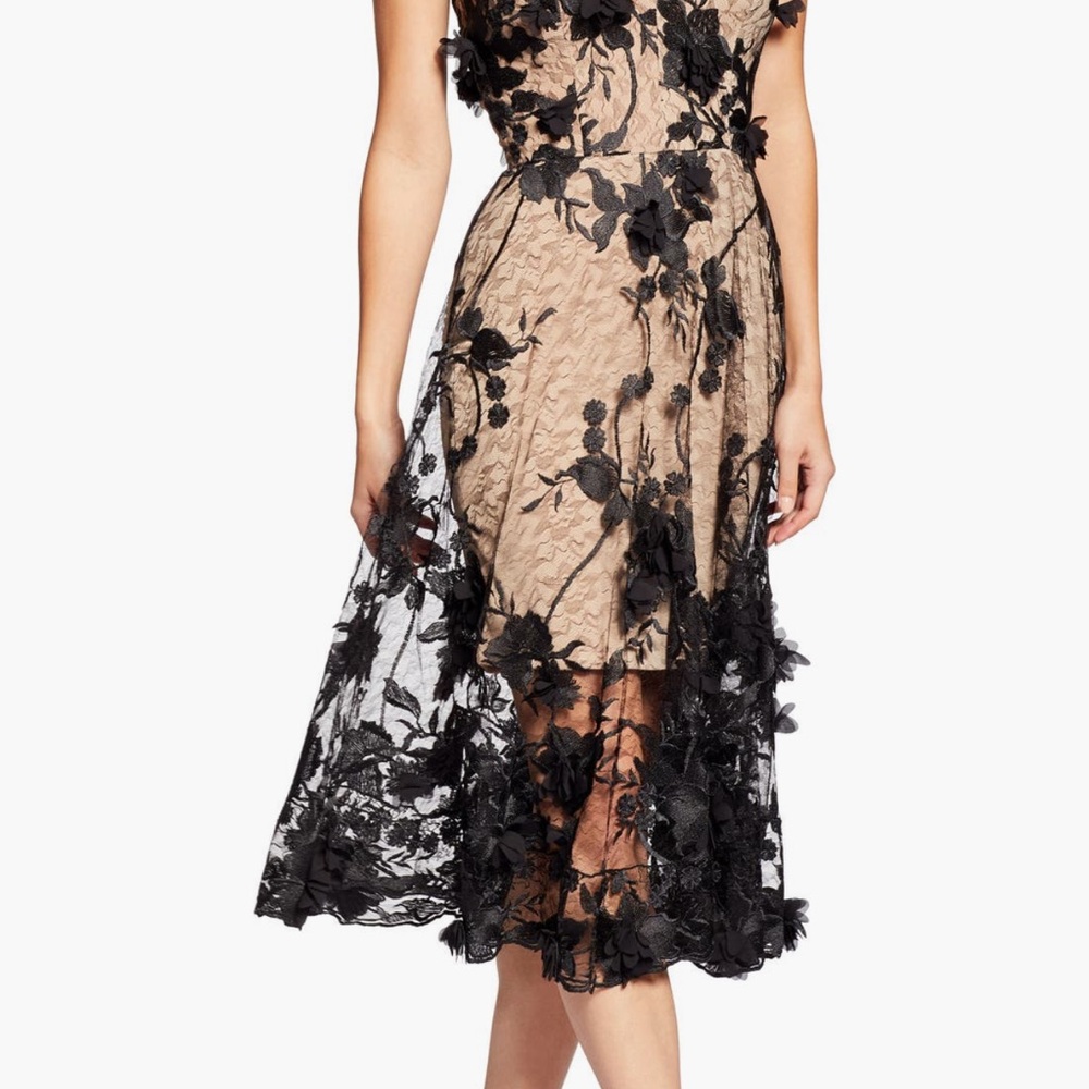 Dress the Population Audrey Embroidered Fit & Flare Dress